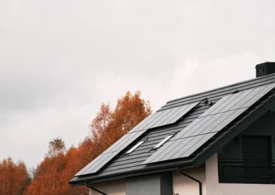 Corona Solar Panels